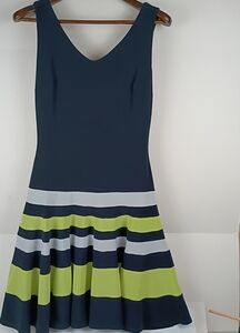 Joseph Ribkoff Navy and Lime Striped Mini Dress